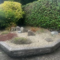 Plants rocks and decorative stones