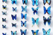 Butterfly Wall Decor