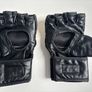 MMA / Martial Arts / Kickboxing Junior / small gloves Image 2