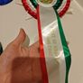 3 Pet Rosettes Image 5