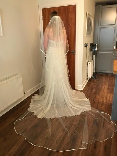 Never worn wedding dress and veil