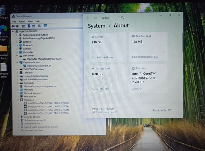 Hp 250 G6