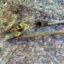 MK2 Mitsubishi Pajero Wiper Linkage Image 4