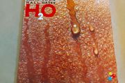 Hall &amp; Oates - H2o - Vinyl Record + Hundreds More