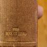 The Kelly's & The O'kellys By Anthony Trollope With A Introduction By Algar Trollip. Printed By Bodley Head. Image 2