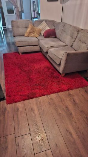 red shaggy rug