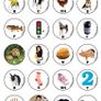 speech and language therapy materials (see and learn kits) Image 5