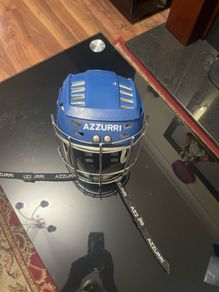 Hurling Helmet