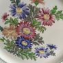 Wedgwood Garden club Edme plate circa 1930s  in excellent condition Image 2