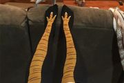 Gift Mens Womens Funny 3D Chicken Socks Print Cartoon Cosplay High flexibility Thigh High Sock Cotton Fashion Thin Toe Feet