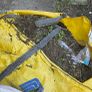 Earth/topsoil Image 2