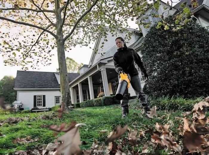 DeWALT 54V Flexvolt Cordless Brushless Leaf Grass Blower //// 6AH 54V Flexvolt Battery.The Best A Professional Can Get. Closing down sale - all must go!.
