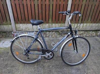 Giant GSR Trekking Bicycle (Size Large)
