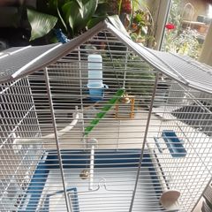 Lovely New Spacious Bird Cage