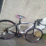 bentini Image 3