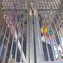 bird cage Image 3