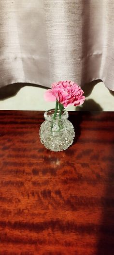 vases