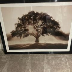 Big picture frame