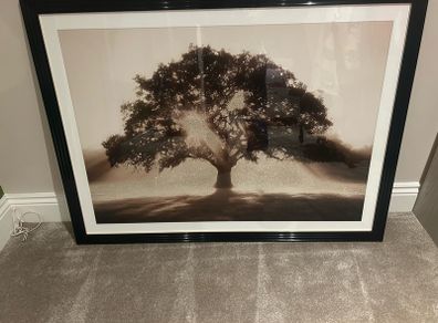 Big picture frame