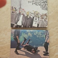 Local Natives 2 CD Lot