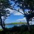 maskedbyrose