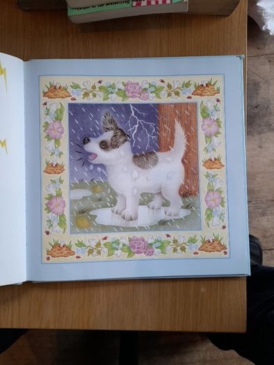 Three minute tales - PUPPIES