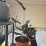 plants Image 2
