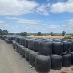 1st cut silage