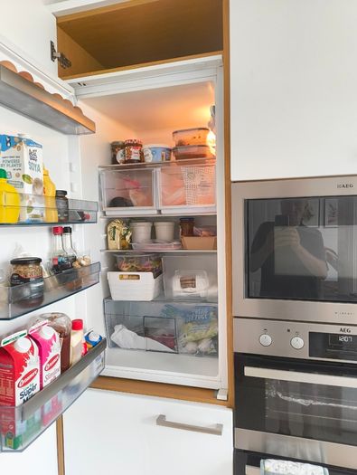 Aeg Built In Fridge