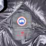 Canada goose Hybrid Image 2
