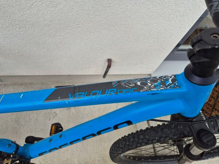 Carerra bike