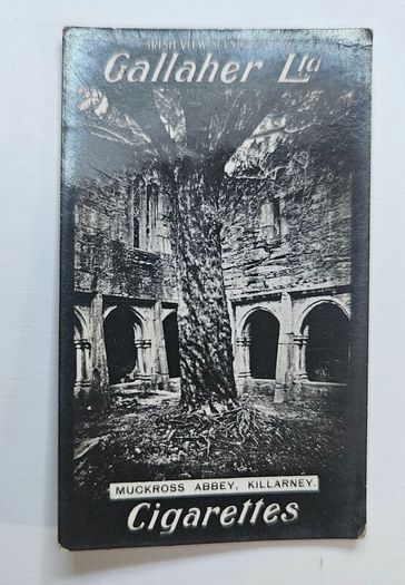 Vintage Gallaher Cigarette Cards Irish View Scenery - Cork, Kerry and Clare Views