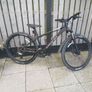 mtb Image 2