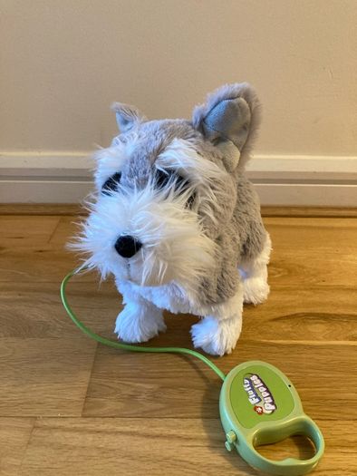 Walking dog