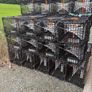 Lobster pots Image 3