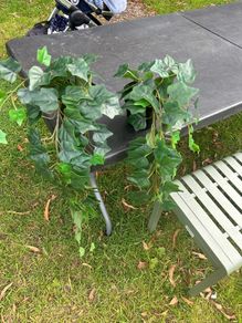 fake ivy plants