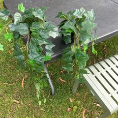 fake ivy plants