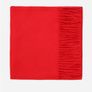 Beautiful Scarf / Shoulder cover - ideal gift Image 2