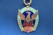 Irish Horse-racing Badge: Phoenix Park 1953-54