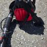 Back pack blower Image 2