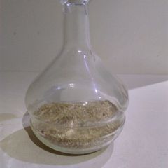 Glass