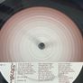 Super Furry Animals - Rings Around The World (First Press inc. 7" & DVD) Image 6