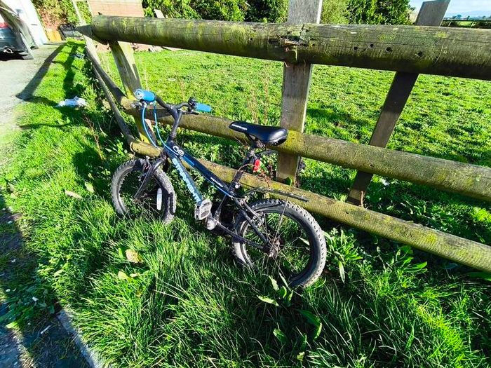 Bicycle