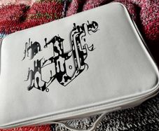 Make up case