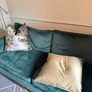 2 x large scatterbox cushions Image 8