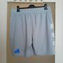 Grey Leinster Rugby performance training shorts Image 2