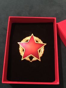 Pin