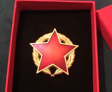Pin