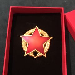 Pin