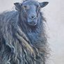 Original Oil Painting Image 2